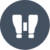 Site Access & Survey Icon