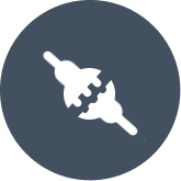 Network Activation Icon